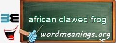 WordMeaning blackboard for african clawed frog